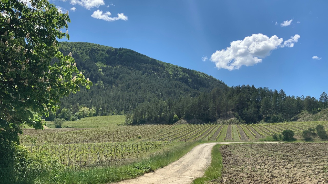 Photo of Outdoor in Aurel