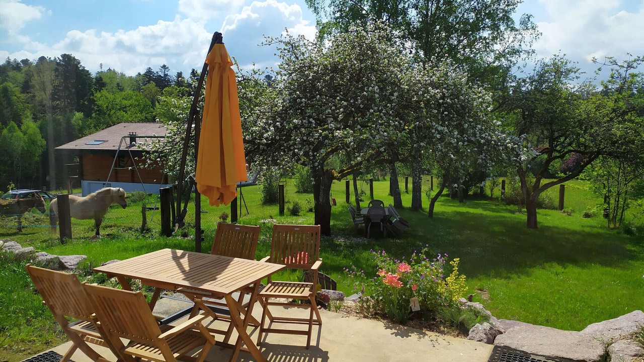 Photo of Outdoor in Moyenmoutier