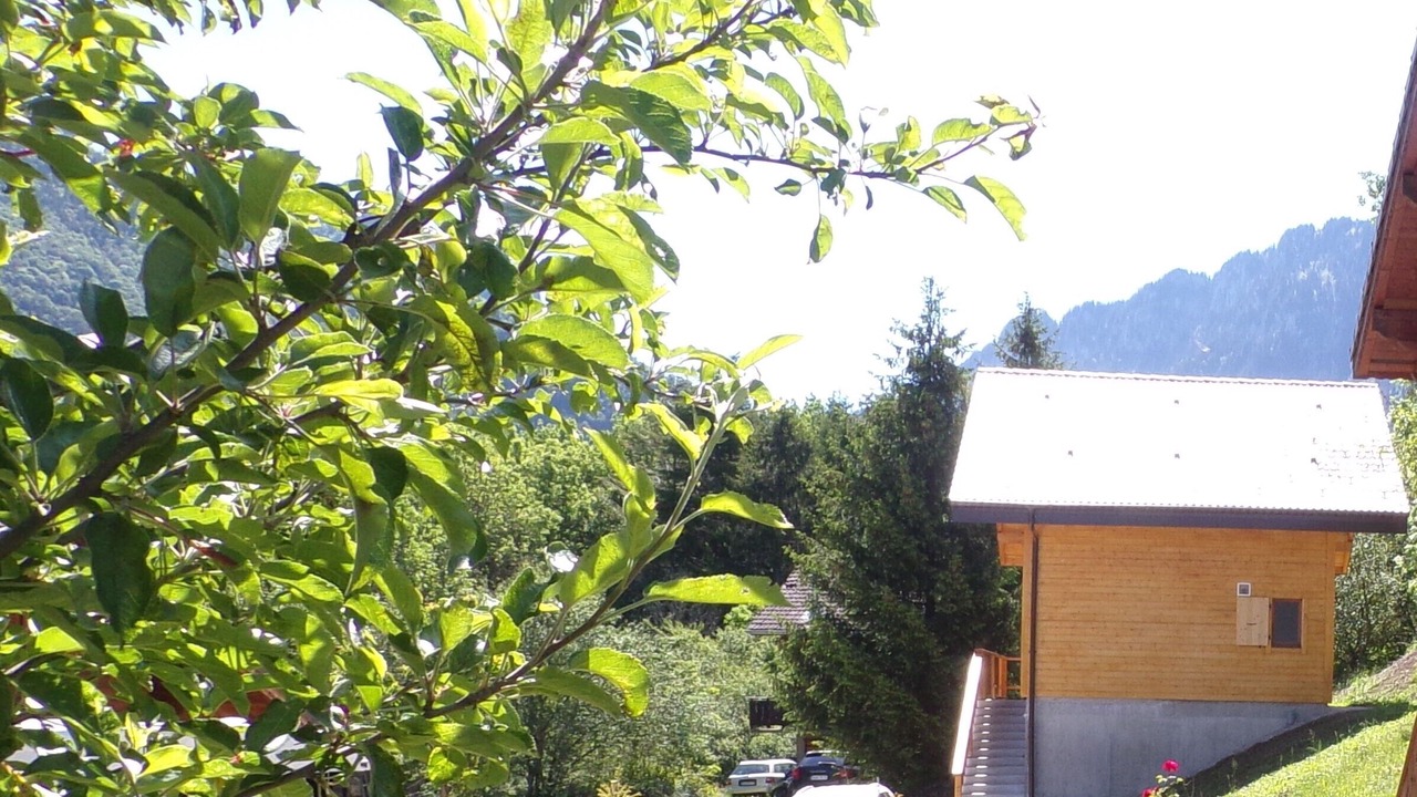 Photo of Outdoor in Vacheresse