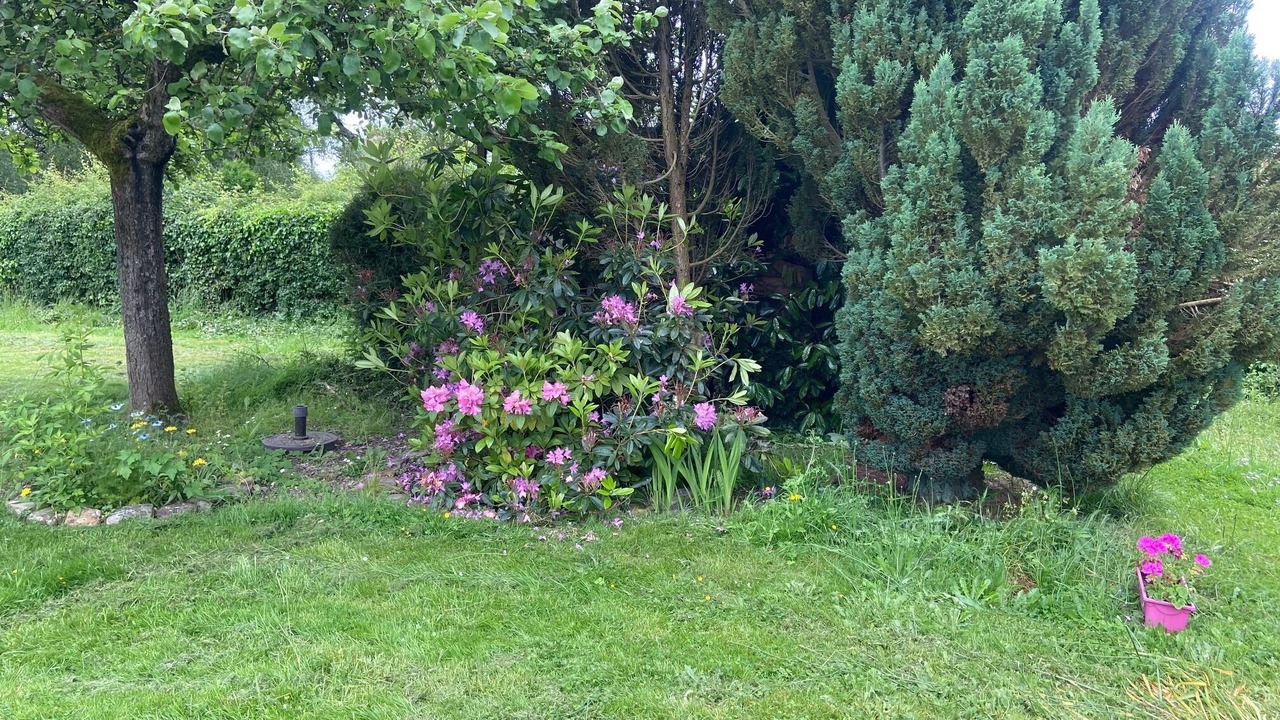 Photo of Outdoor in Plasnes