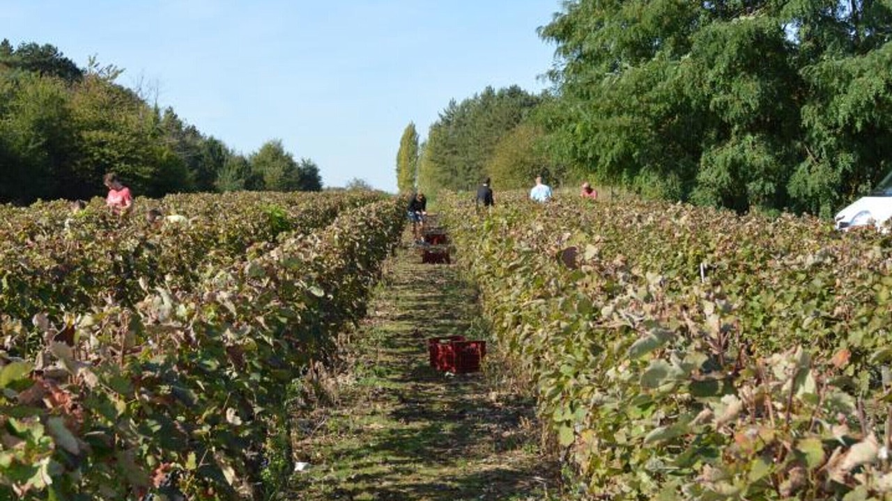 Photo of Others in Saint-Georges-sur-Cher
