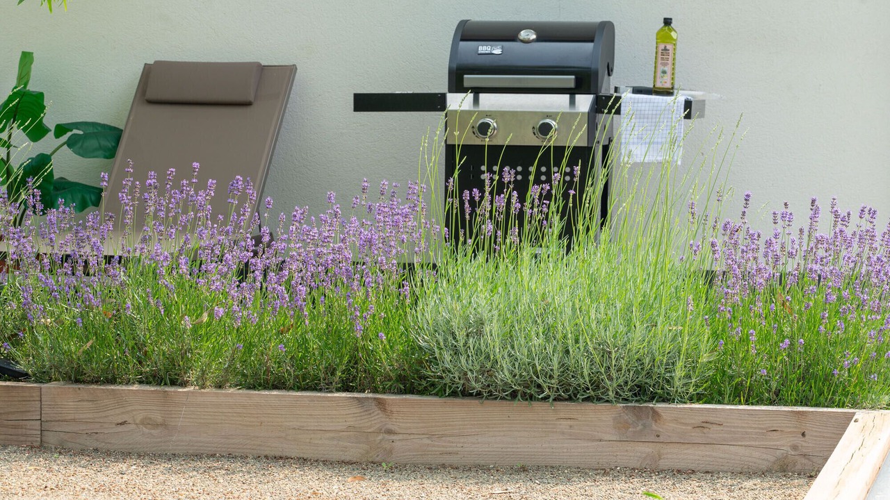 Photo of Outdoor in Salernes