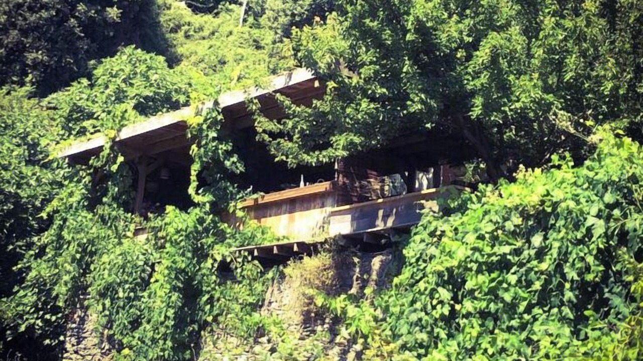 Photo of Others in San-Martino-di-Lota