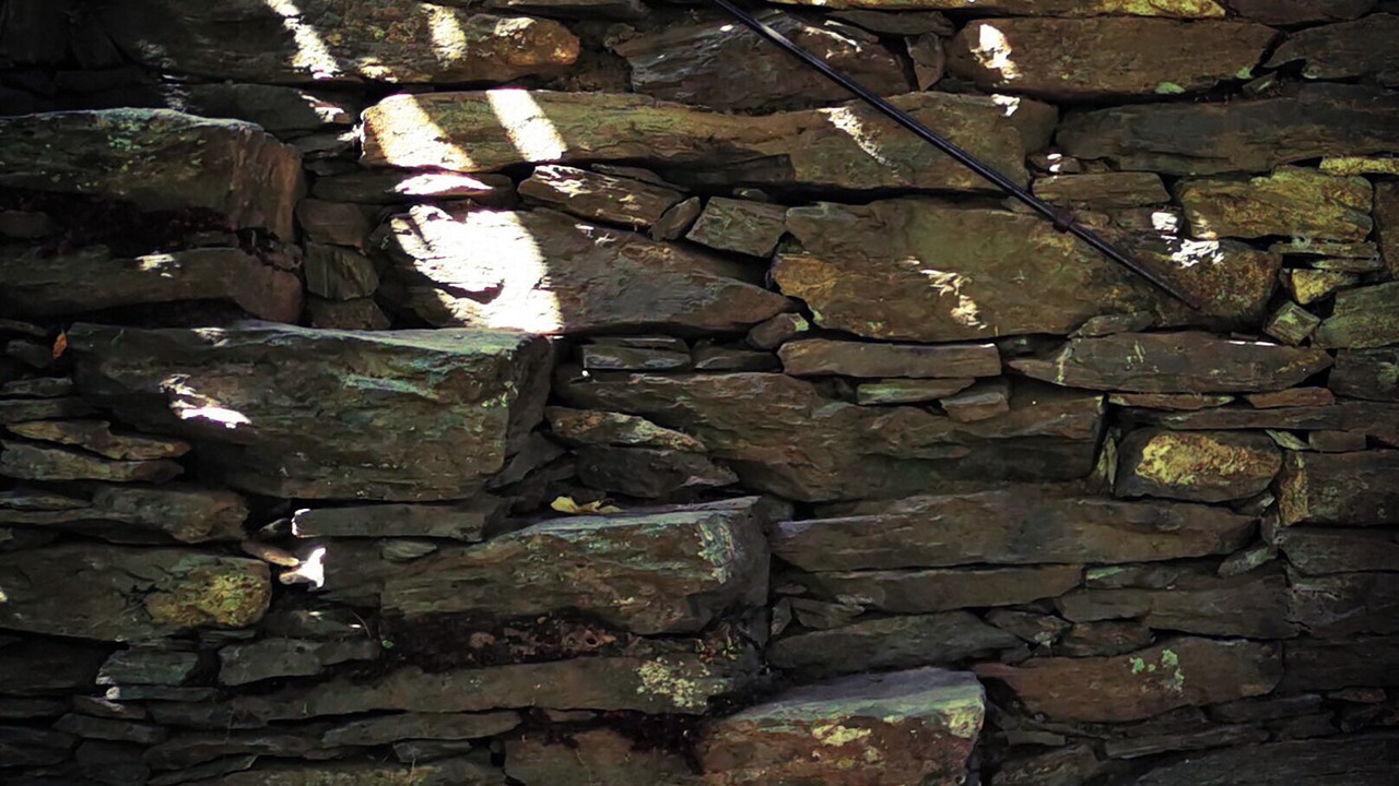 Photo of Others in San-Martino-di-Lota