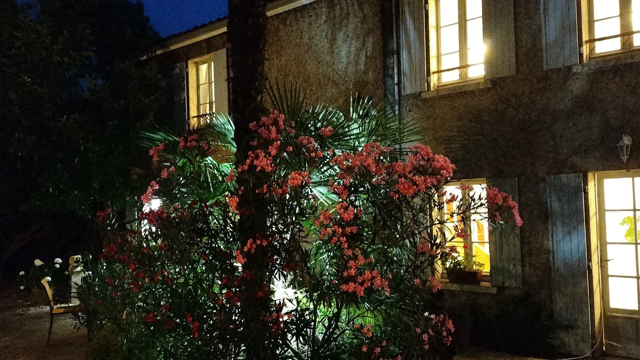 Photo of Outdoor in Chateauneuf-sur-Charente