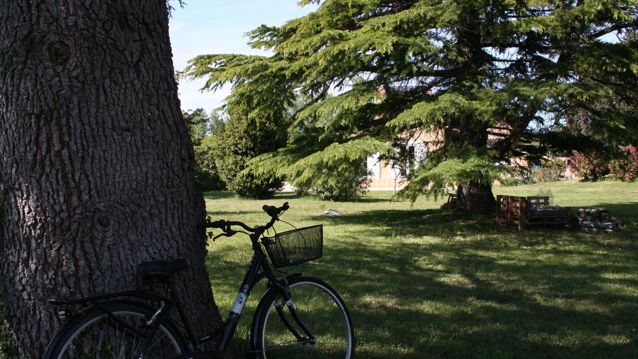 Photo of Outdoor in Le Thor