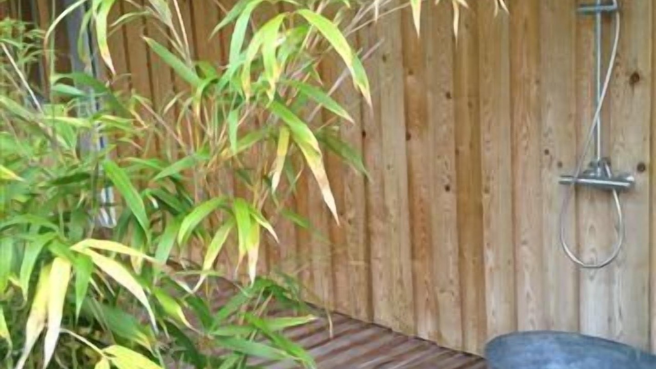 Photo of Outdoor in Carcans Plage
