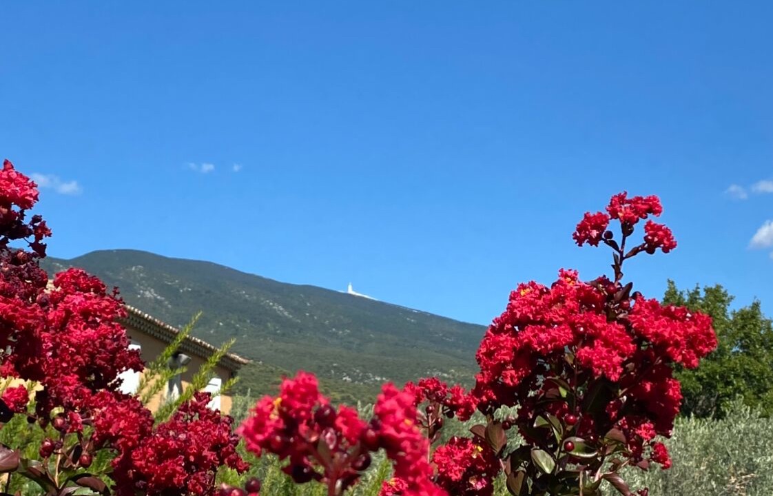 Photo of Outdoor in Bedoin