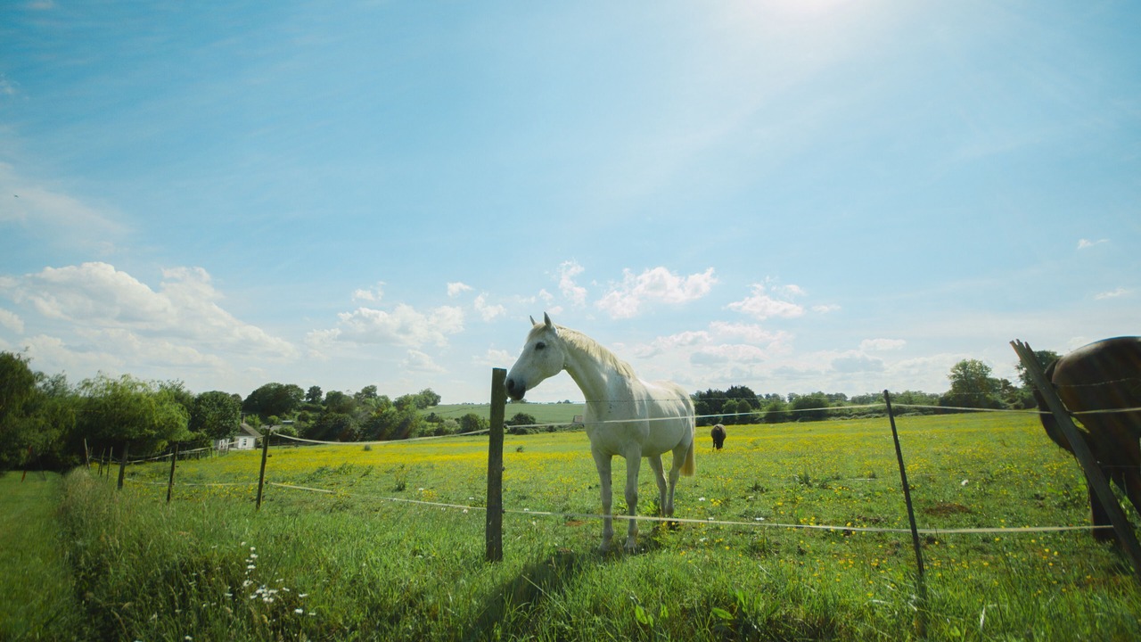 Photo of Others in Curcy-sur-Orne