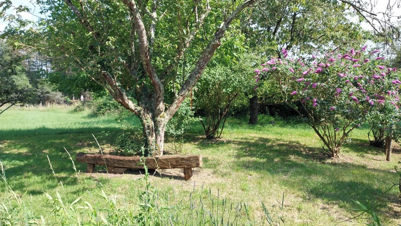 Photo of Outdoor in Pruniers-en-Sologne
