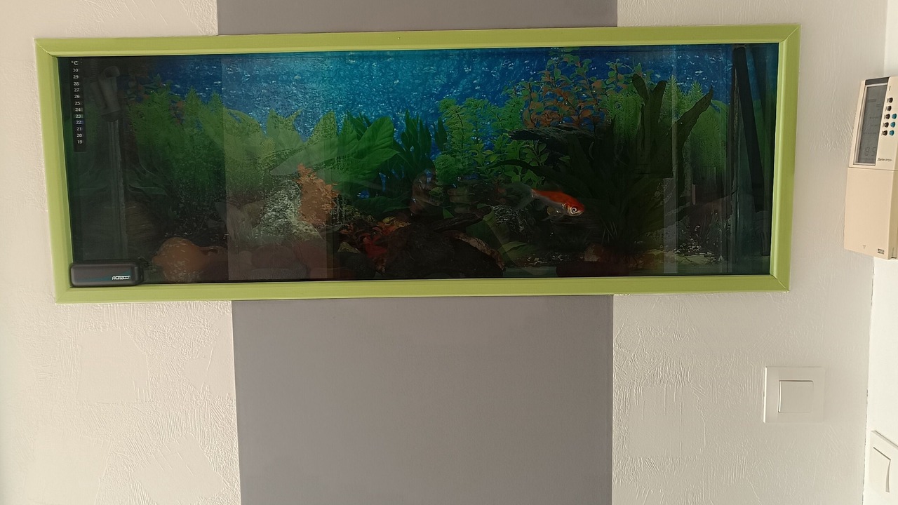 Photo of Others in Locquirec