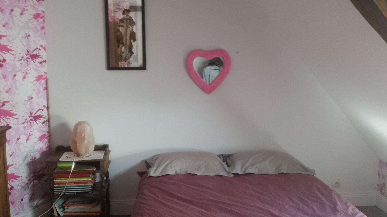 Photo of Bedroom in Langeais