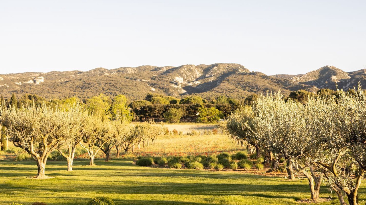 Photo of Outdoor in Eygalieres
