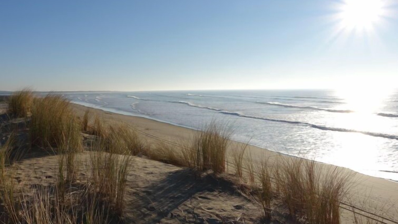 Photo of Others in Saint-Georges-d'Oleron