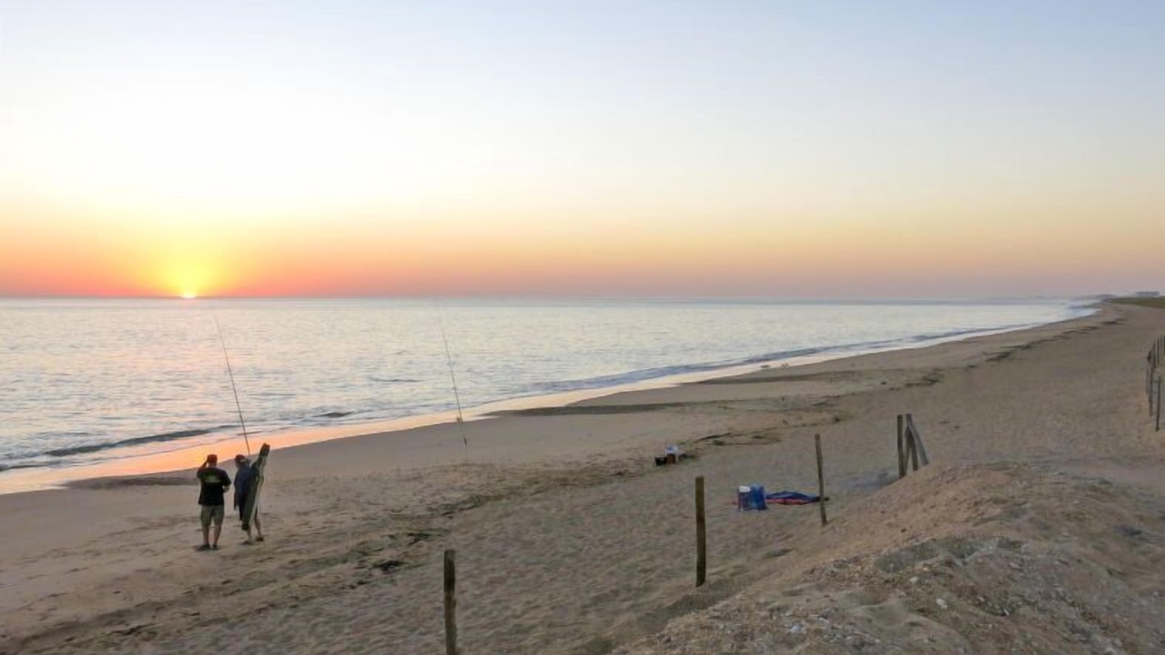 Photo of Others in Saint-Georges-d'Oleron