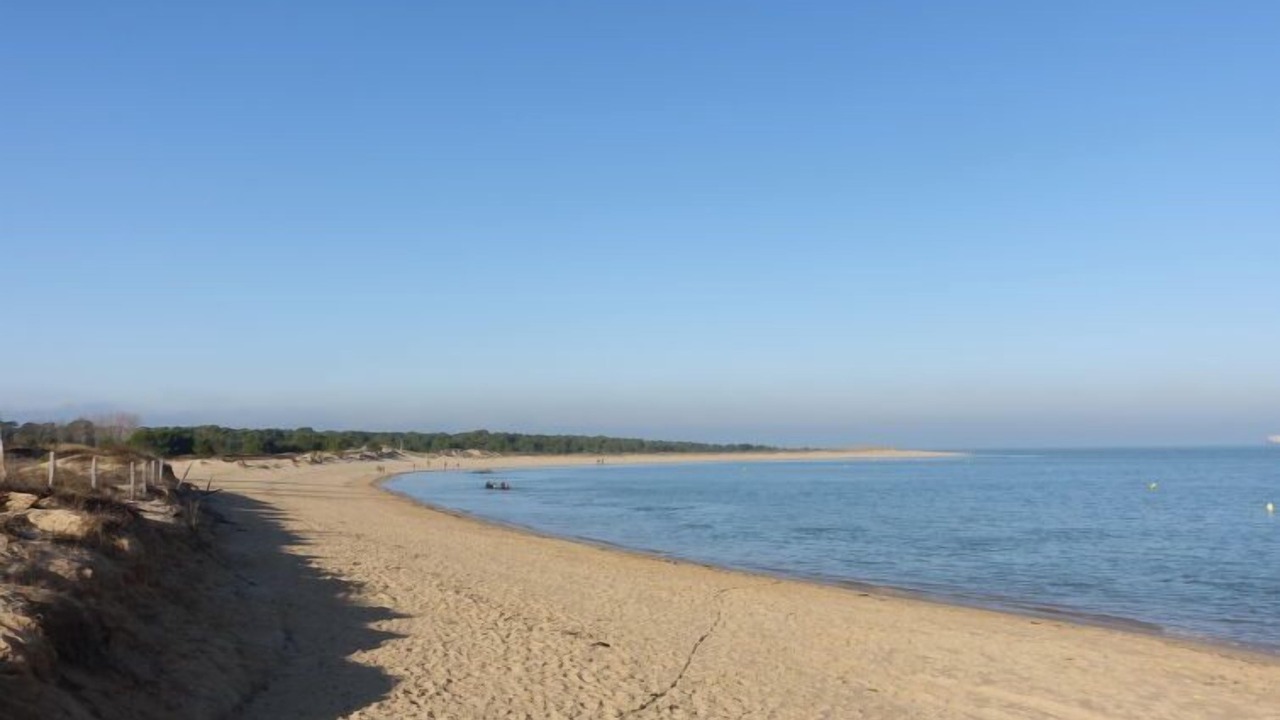 Photo of Others in Saint-Georges-d'Oleron