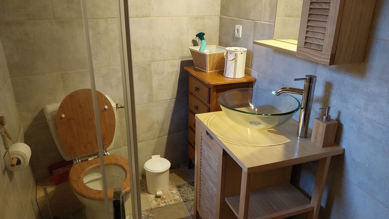 Photo of Bathroom in Pays-de-Belves