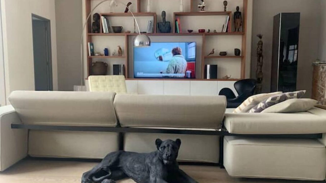Photo of Livingroom in Matabiau