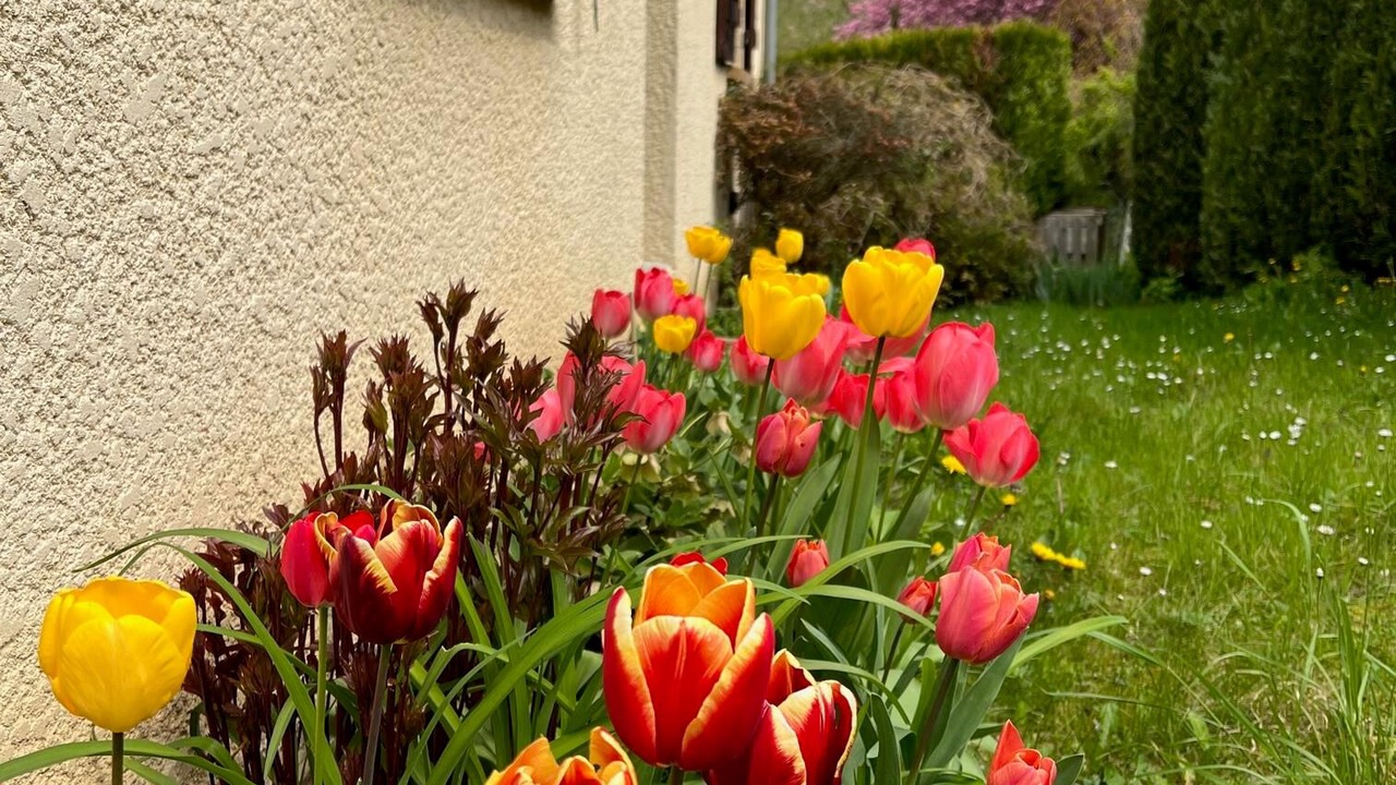 Photo of Outdoor in Les Andelys