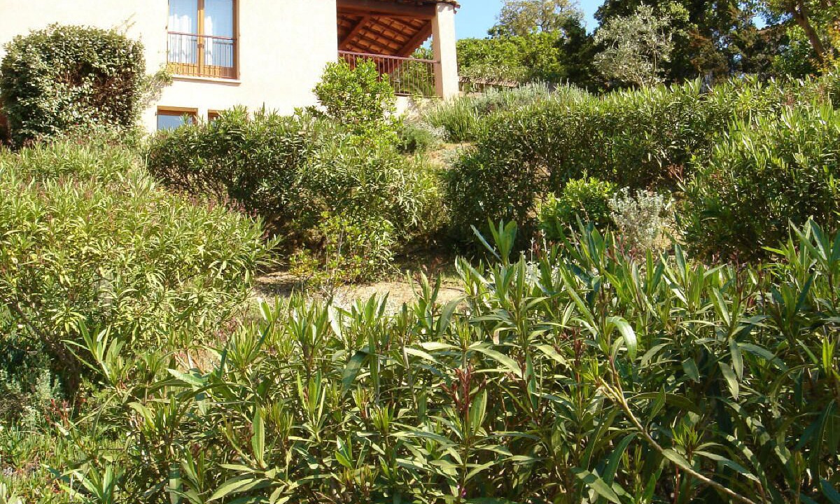 Photo of Outdoor in Molini
