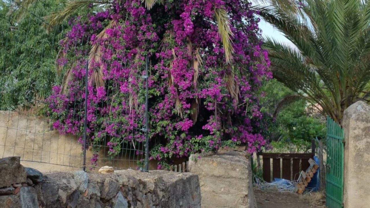 Photo of Outdoor in Aregno