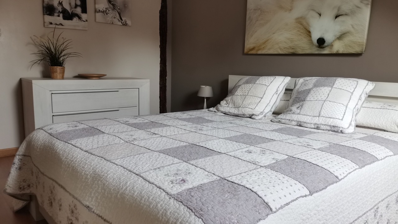 Photo of Bedroom in Saint-Aignan