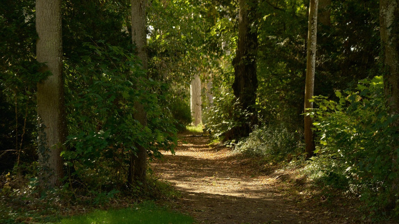 Photo of Outdoor in Thauvenay