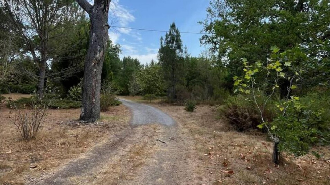 Photo of Outdoor in Labouheyre