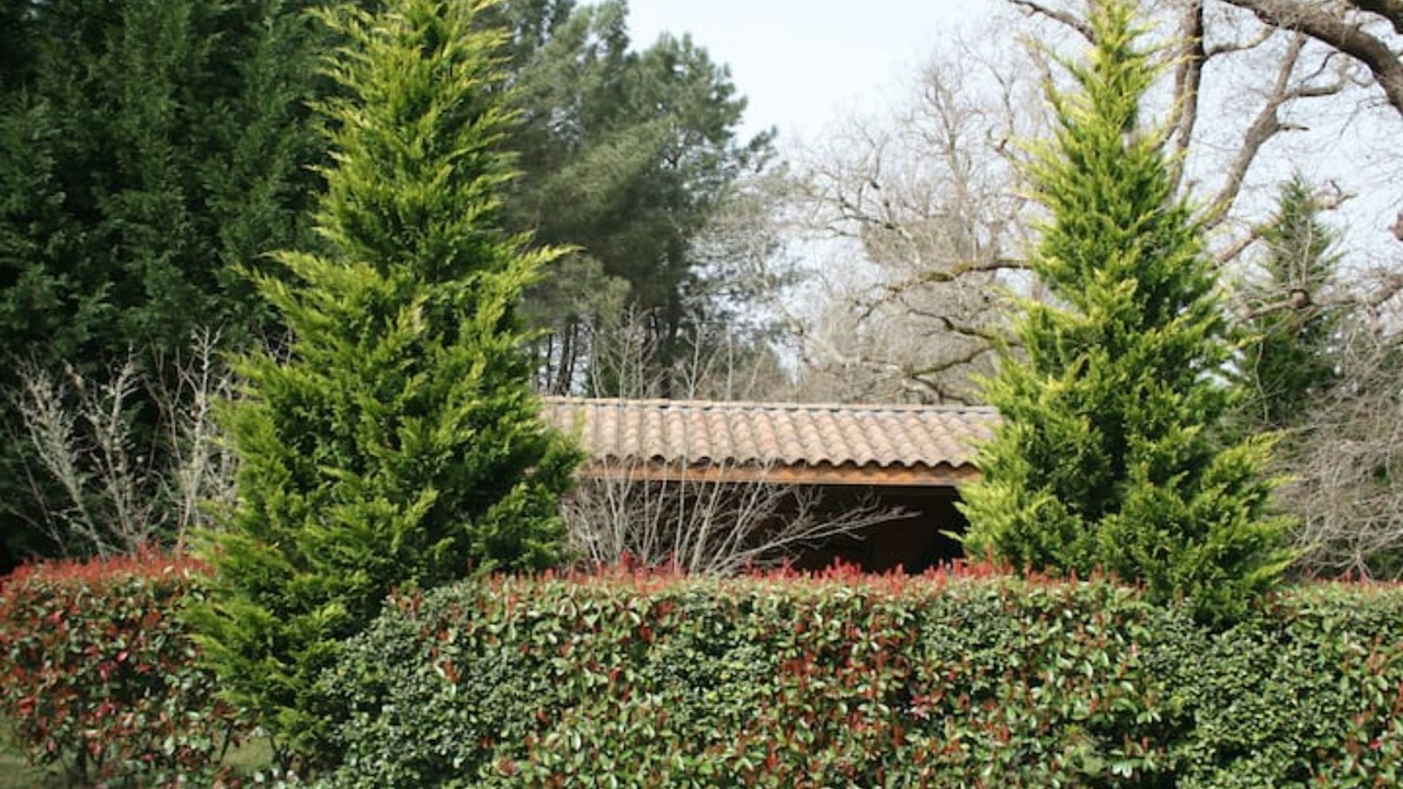 Photo of Outdoor in Labouheyre