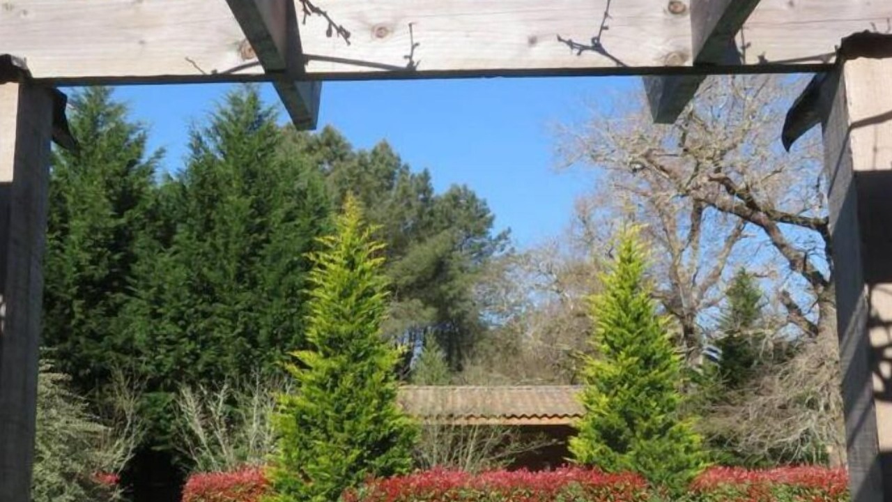 Photo of Outdoor in Labouheyre