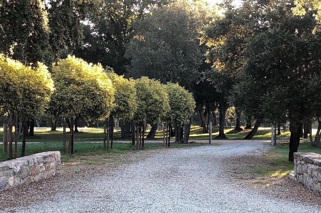 Photo of Outdoor in Poggio-di-Venaco
