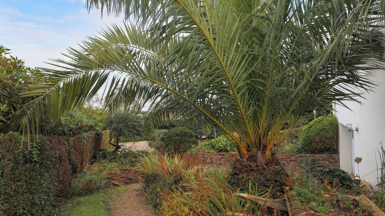 Photo of Outdoor in Locquirec