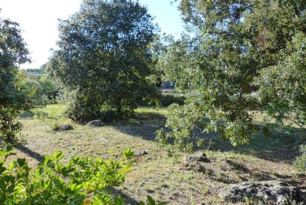 Photo of Outdoor in Tavernes