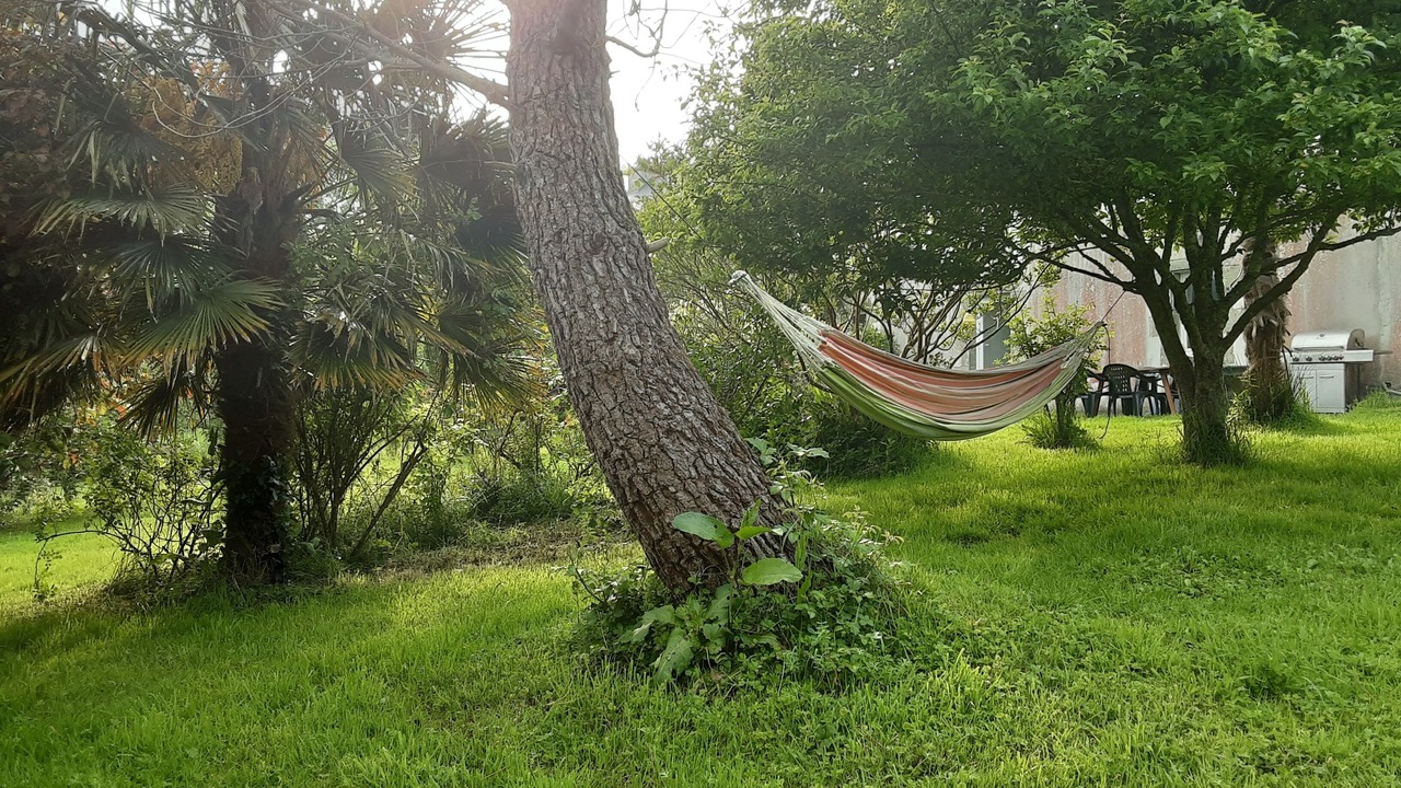 Photo of Outdoor in Argol