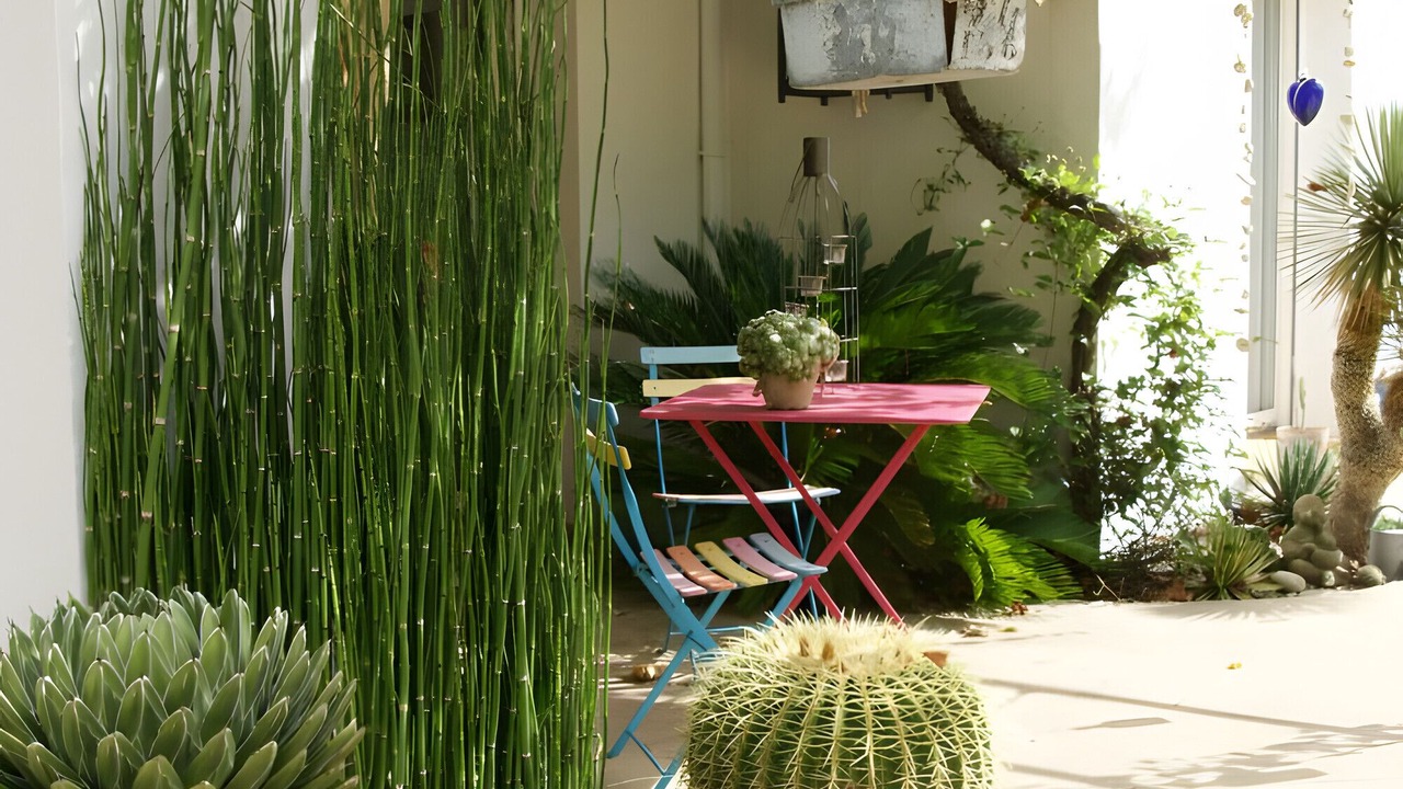 Photo of Outdoor in Notre-Dame-de-Riez