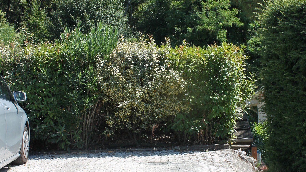 Photo of Outdoor in Aix-les-Bains