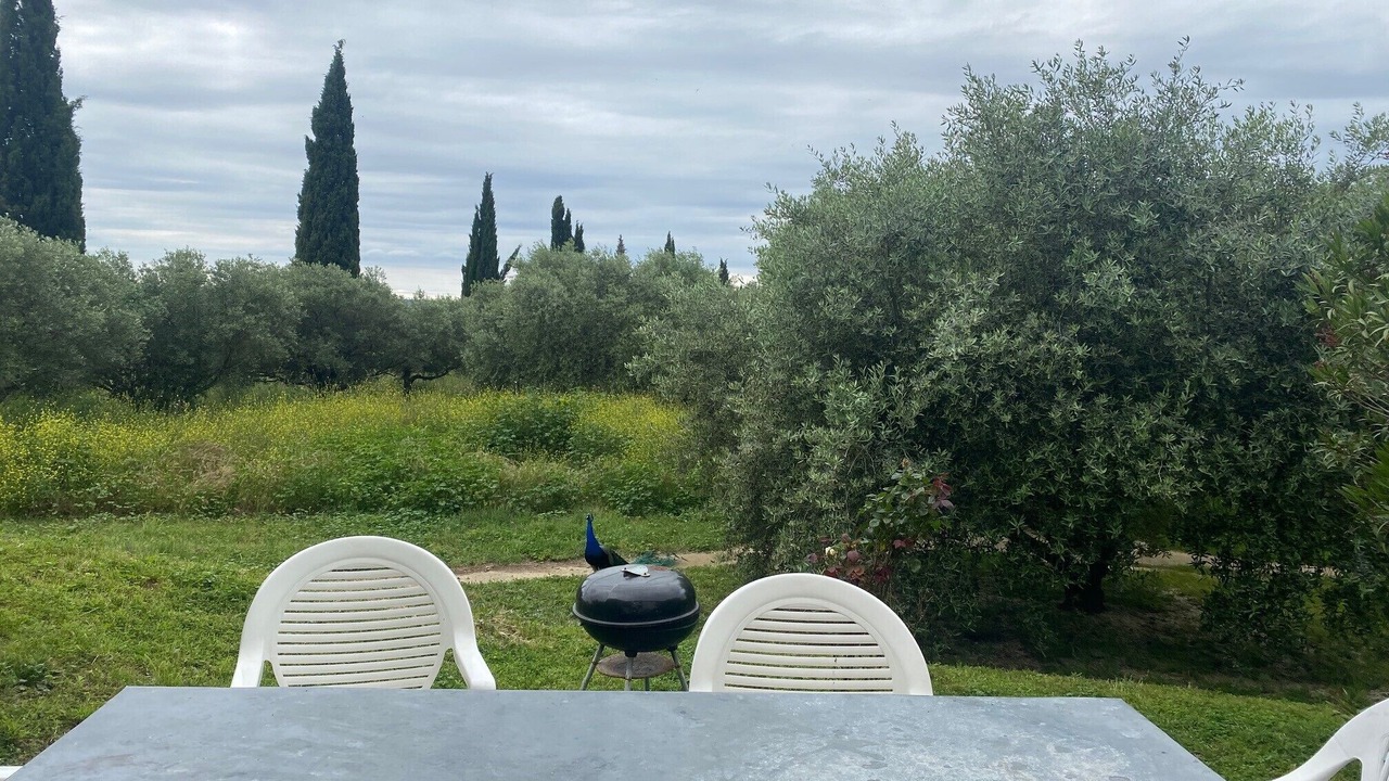 Photo of Outdoor in Murviel-les-Beziers