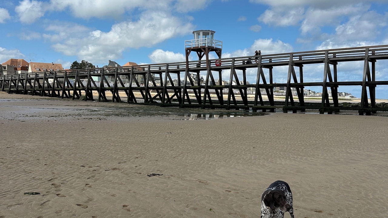 Photo of Others in Luc-sur-Mer