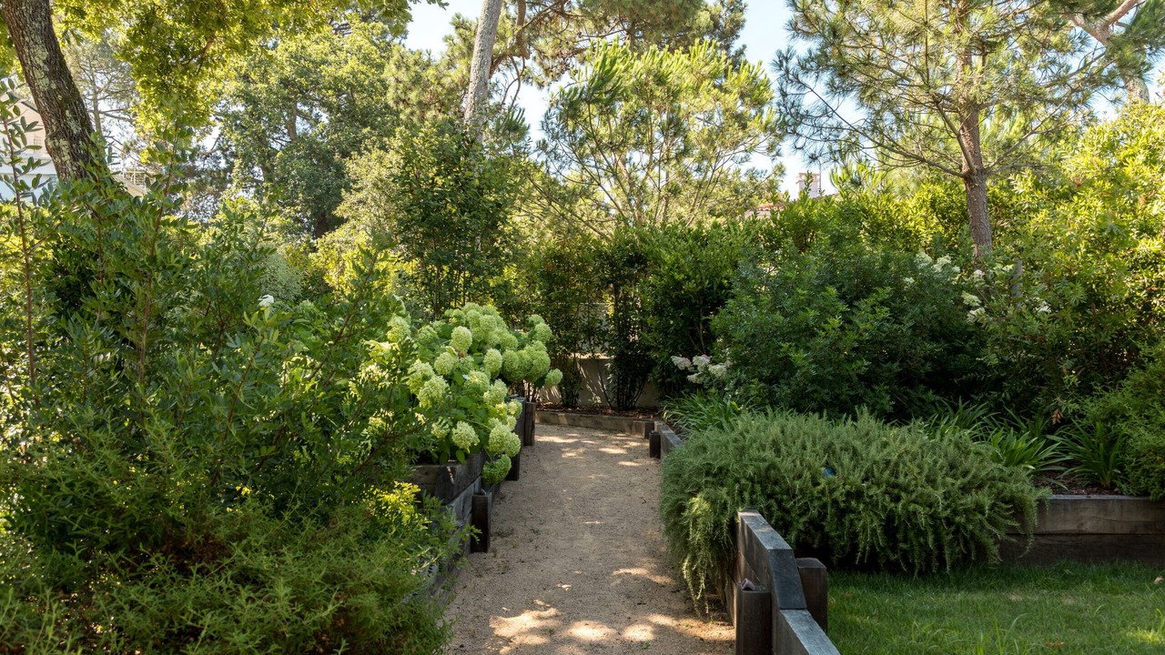 Photo of Outdoor in Arcachon