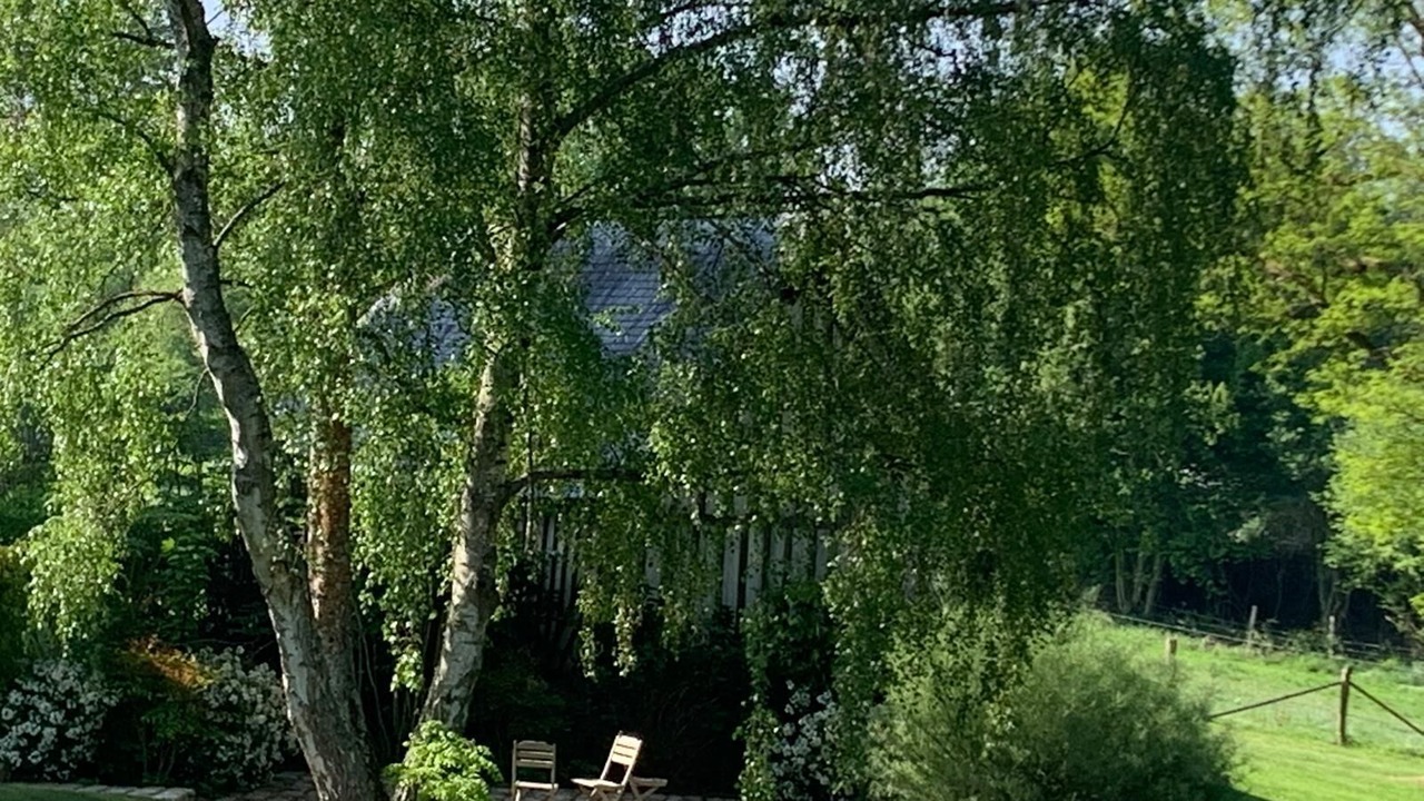 Photo of Outdoor in Blangy-le-Chateau