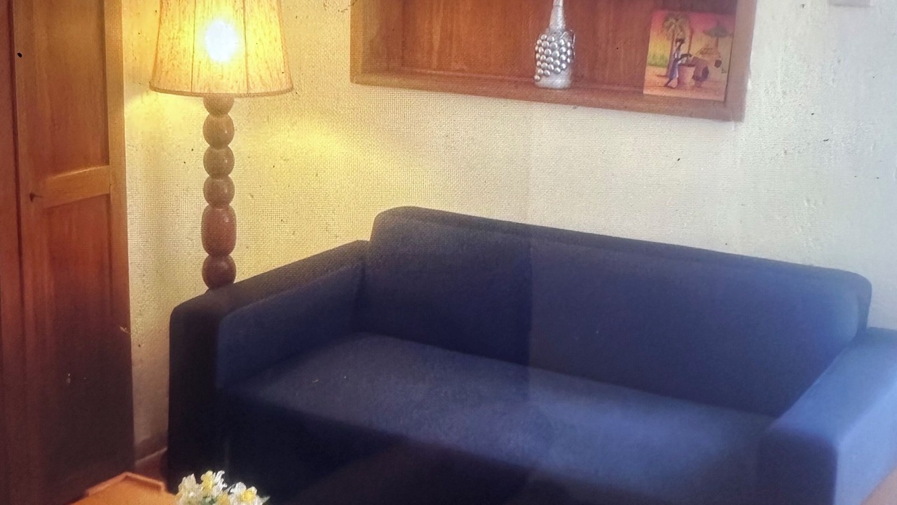 Photo of Livingroom in Santo-Pietro-di-Venaco