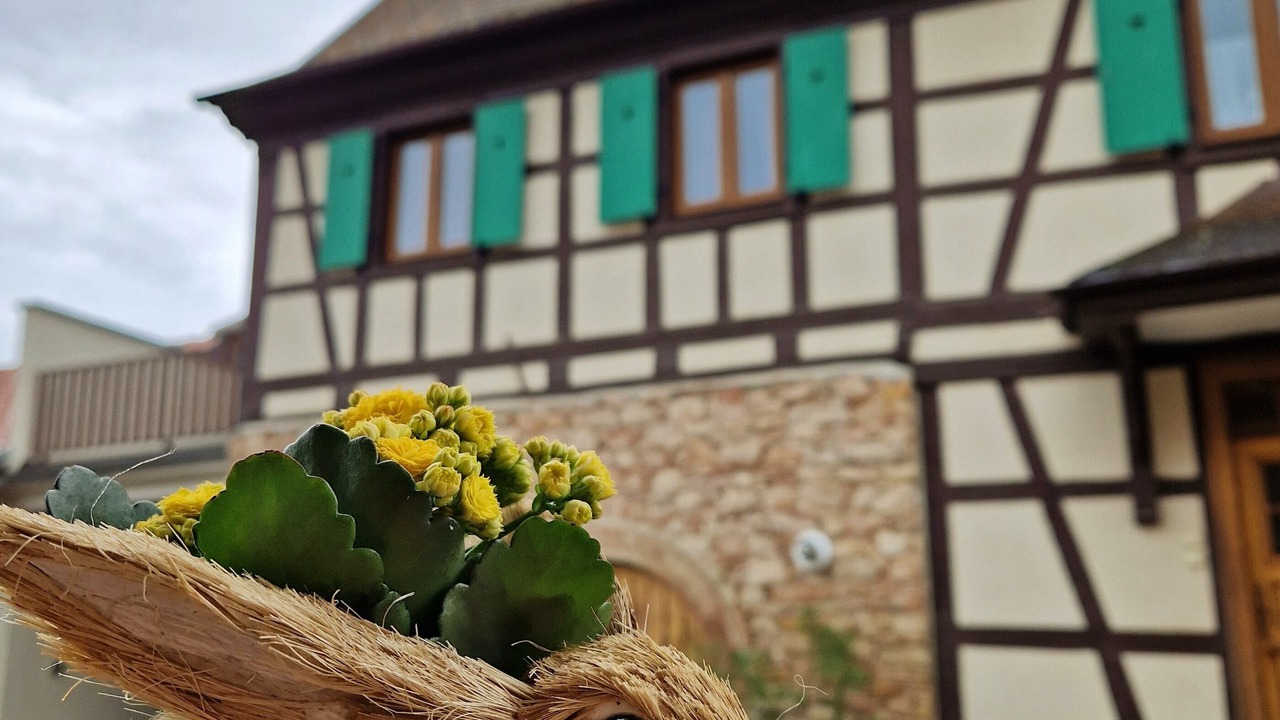 Photo of Outdoor in Kogenheim