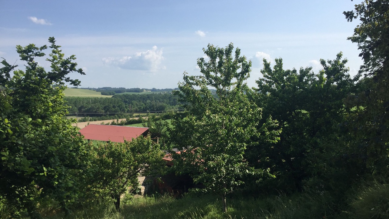 Photo of Outdoor in Montboyer