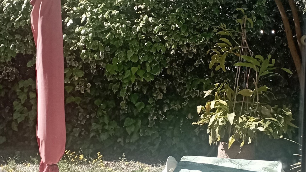 Photo of Outdoor in La Crau