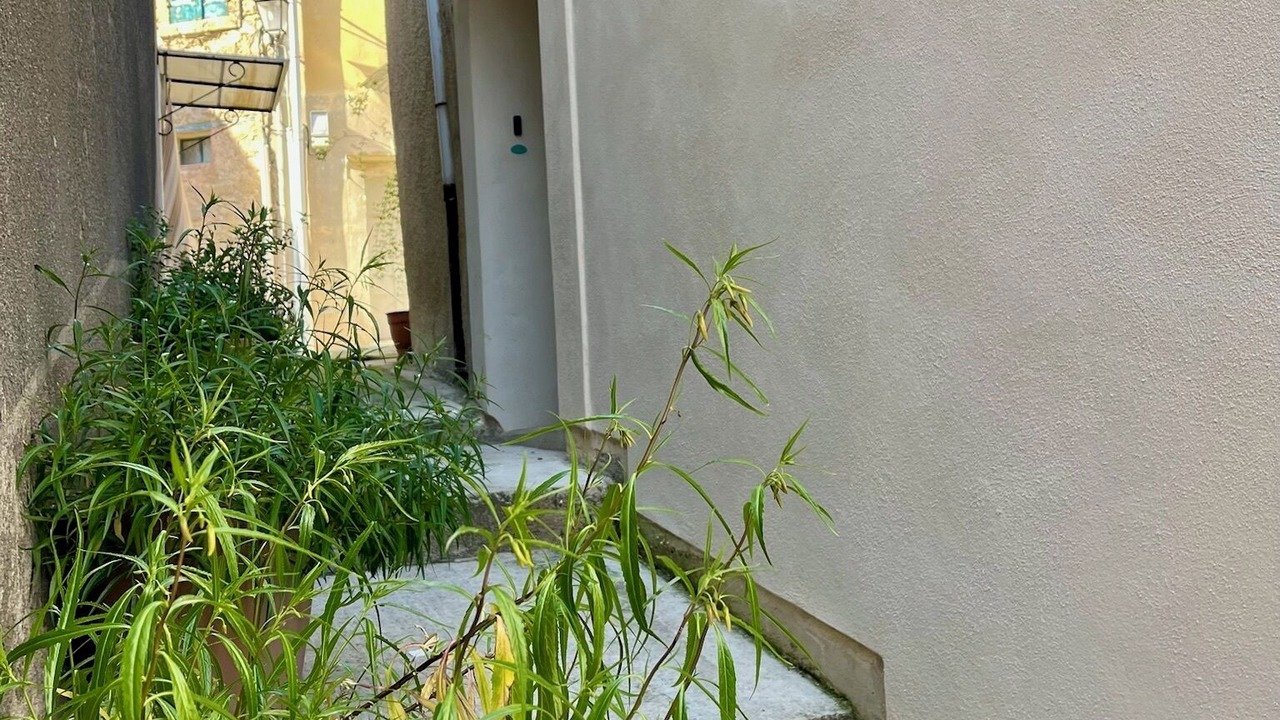 Photo of Outdoor in Neffies