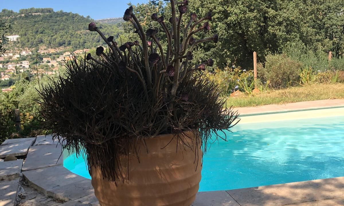 Photo of Outdoor in Sollies-Toucas