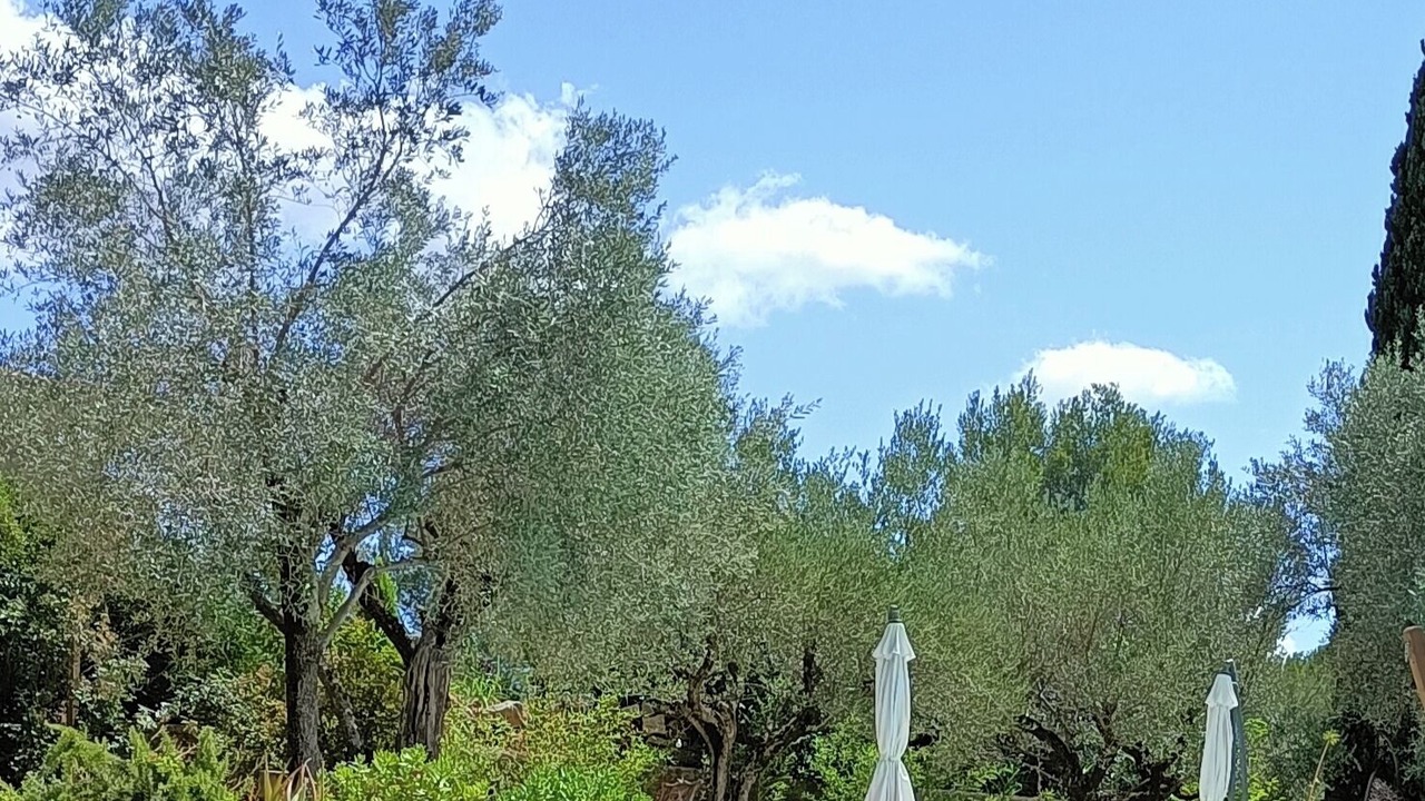 Photo of Others in Sollies-Toucas