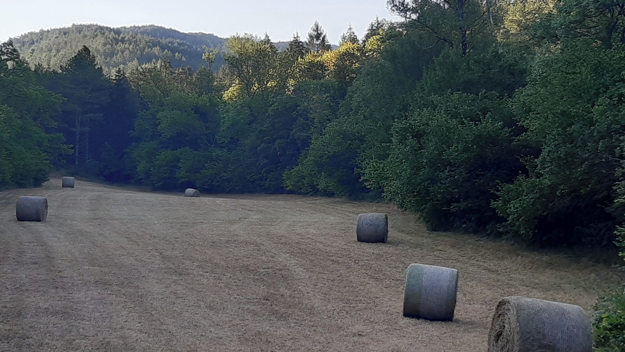 Photo of Others in Montjardin