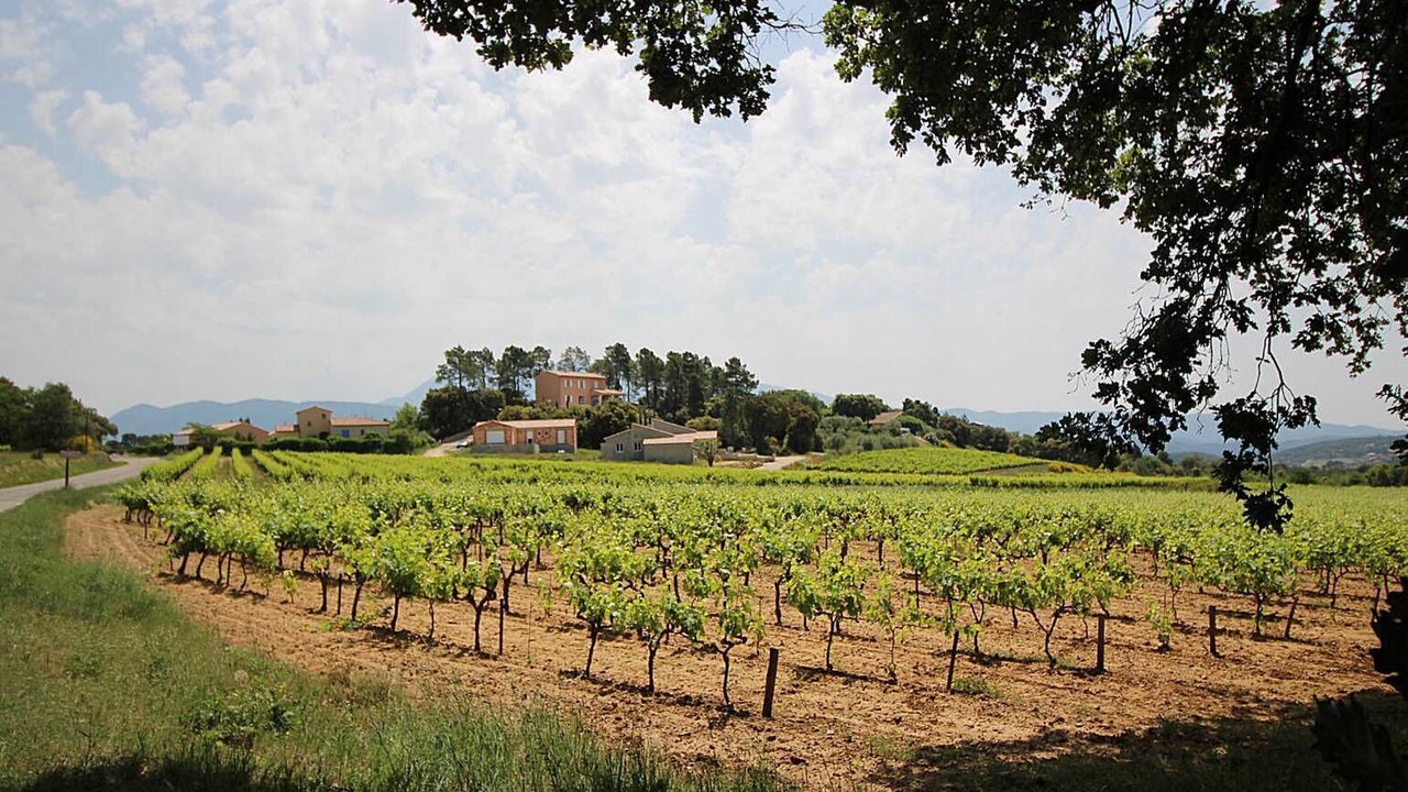 Photo of Others in Puymeras