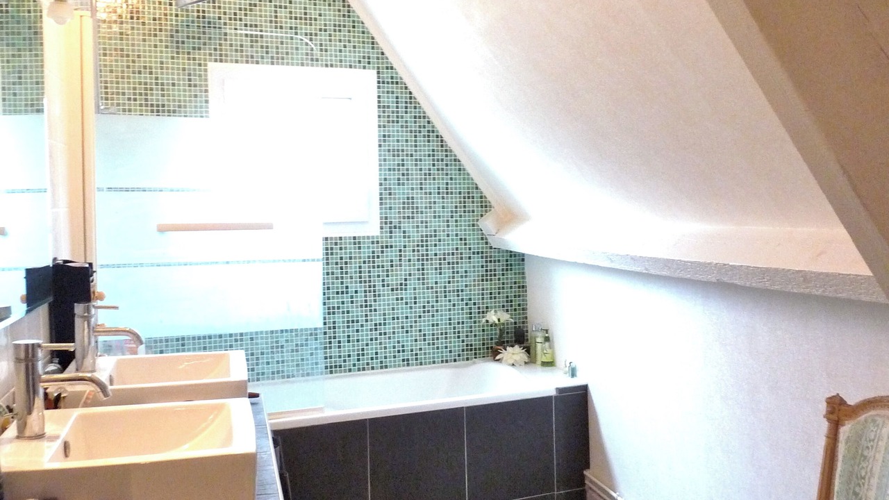 Photo of Bathroom in Thenon